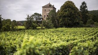 Francie prý ztrácí duši, prestižní vinařství koupil Číňan