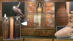 Světem starověkého Egypta vás mohla provést nevšední a obsáhlá výstava Na březích Nilu, která je do jara roku 2020 k vidění v Náprstkově muzeu.