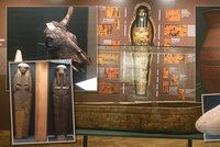Mumie krokodýlů i koček, satirické básně: Náprstkovo muzeum ukazuje netradiční tvář starověkého Egypta