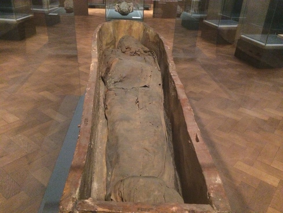 K vidění jsou samozřejmě i staroegyptské mumie.