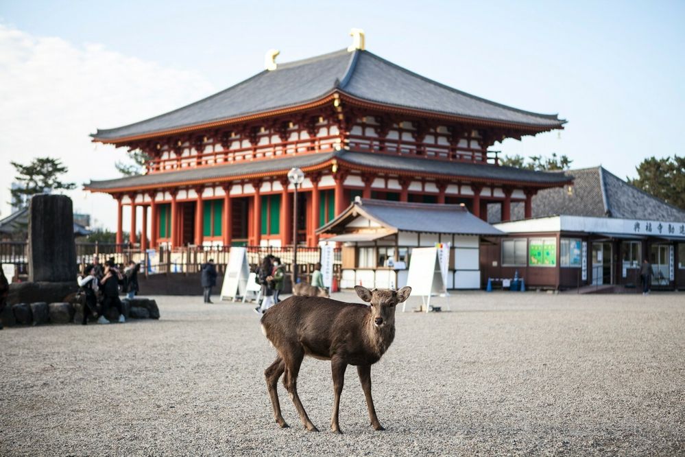 Park Nara