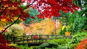 Užijte si všechny barvy podzimu a vydejte se na výlet do přírody