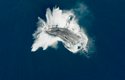Nový francouzský přírodovědný film Národ velryb přináší dobrodružnou expedici za vládci oceánů