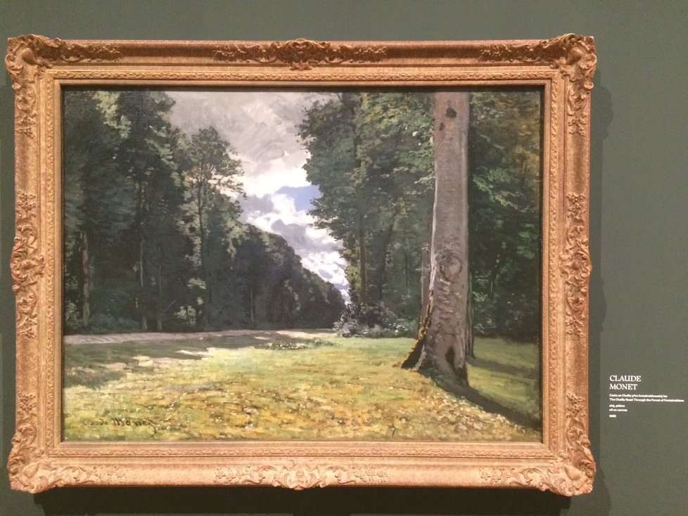 Claude Monet je na výstavě zastoupen několika obrazy. V podstatě reflektují jeho umělecký vývoj od raných počátků přes vrcholné období až po jeho pozdní tvorbu.