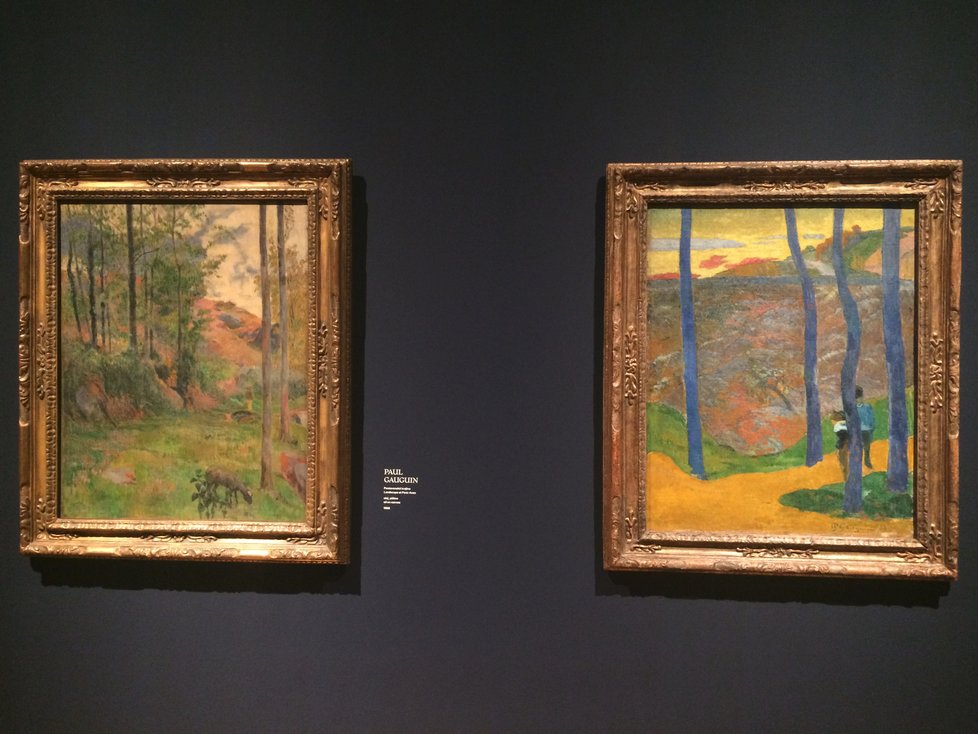 Vrcholem výstavy je série několika obrazů Paula Gaugina, jehož talent dánský sběratel obdivoval. Skrze ně jde i krásně sledovat vývoj v tvorbě francouzského génia. Vlevo je k vidění jeho obraz pod vlivem impresionistických tendencí, vpravo už oproštěný od cizího vlivu a podle vlastních záměrů.