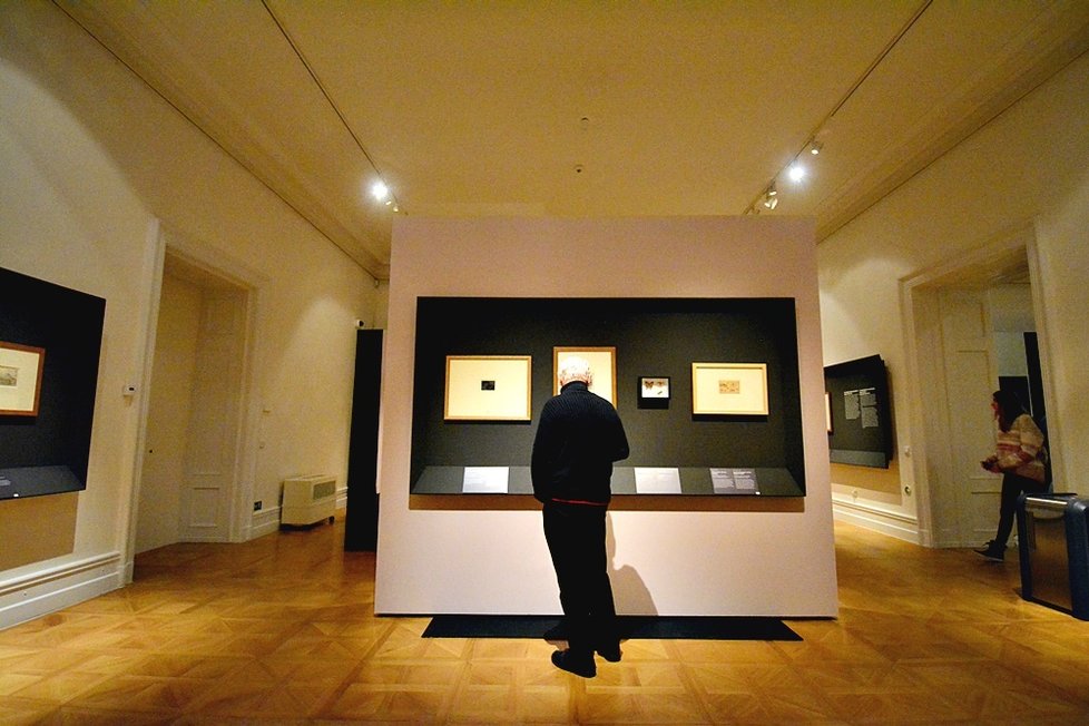 Národní galerie představuje poprvé Václava Hollara poprvé jako kreslíře.