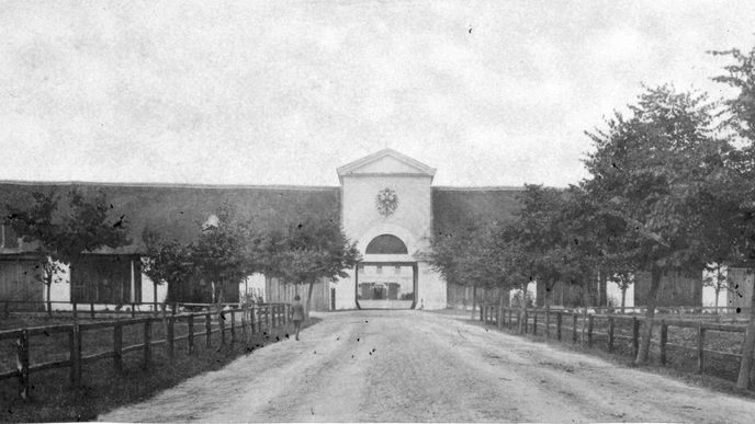 Historický záběr Národního hřebčína Kladruby nad Labem