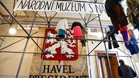 Národní muzeum v Praze připravuje výstavní projekt k 30. výročí sametové revoluce, který bude přístupný od 18. listopadu 2019. V historické budově představuje události druhé poloviny 80. let minulého století, samotnou sametovou revoluci a období do voleb v červnu 1990.