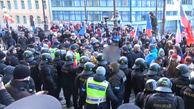 Demonstranti se pokoušeli násilně vniknout do budovy Národního muzea