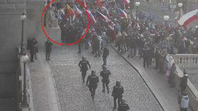Demonstranti se pokoušeli násilně vniknout do budovy Národního muzea