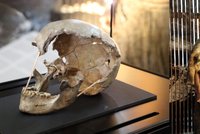 Vědci zrekonstruovali podobu ženy, která žila v Čechách před 45 tisíci let: Můžete si ji prohlédnout i pojmenovat!