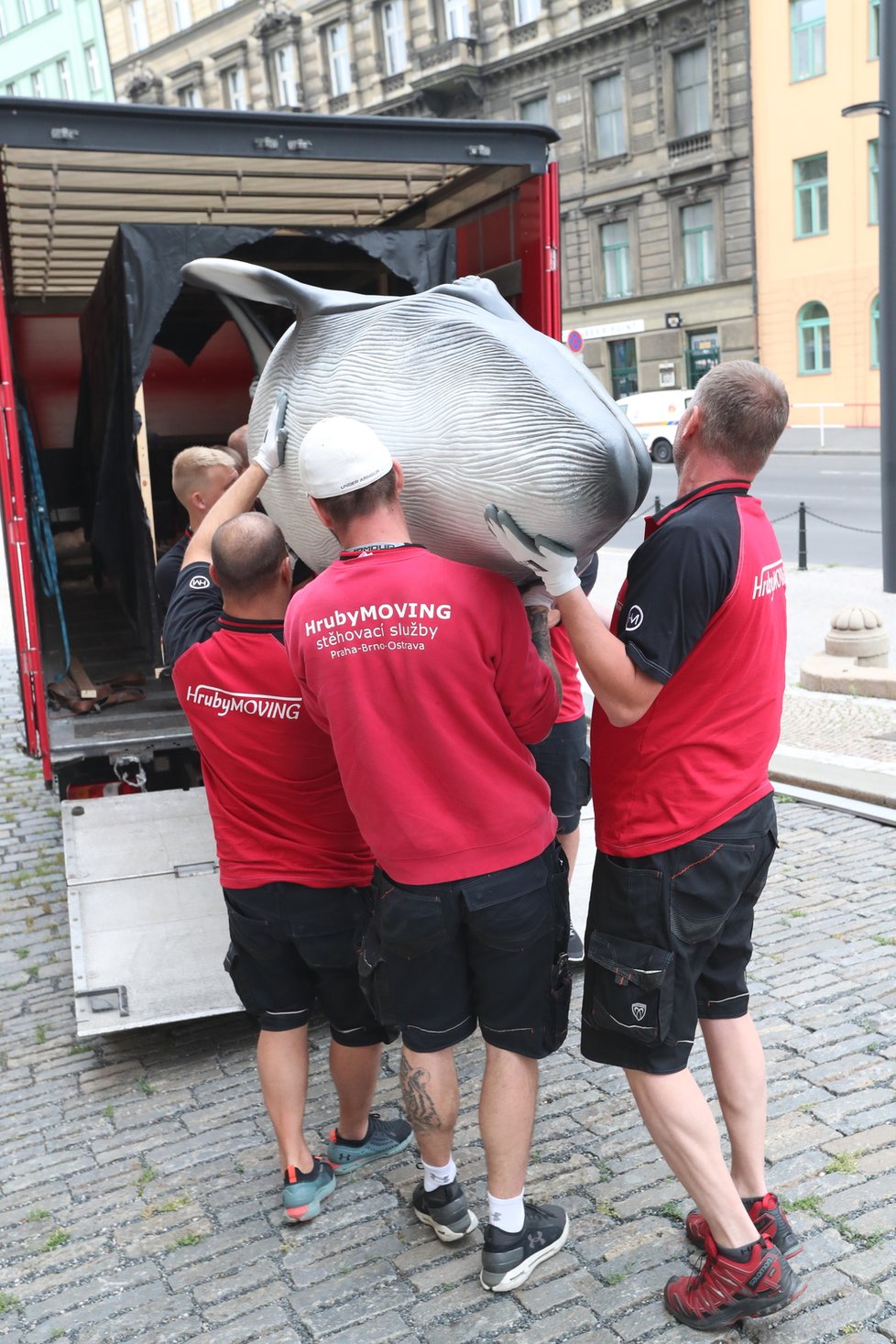 Takto probíhal transport realistických modelů plejtváka malého a žraloka do budoucí expozice Zázraky evoluce, kterou chystá Národní muzeum otevřít zkraje srpna. (23. června 2021)