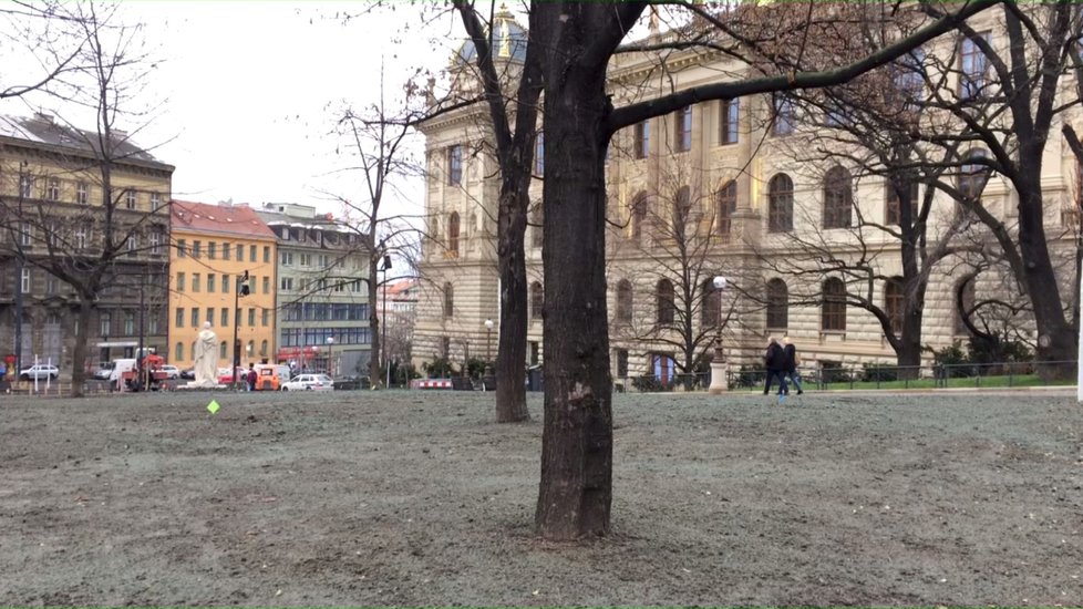 Čelakovského sady mají zcela novou podobu, nepřehledný prostor je minulostí.