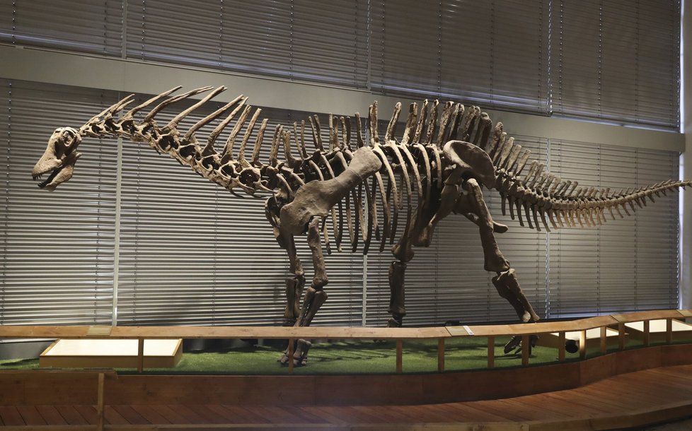 Amargasaurus, býložravý dinosaurus, žil v Jižní Americe na počátku křídy.