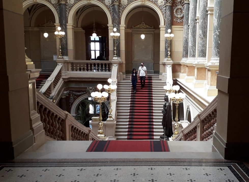 Národní muzeum se opět otevřelo pro návštěvníky. Smí v něm však být jen sto lidí najednou