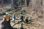 Zásah hasičů kvůli požáru v Českém Švýcarsku (18. 5. 2023)