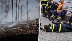 Masivní požár lesa v Českém Švýcarsku: Restaurace v Hřensku vaří pro odvážné hasiče