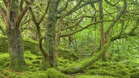 Národní park Killarney v Irsku