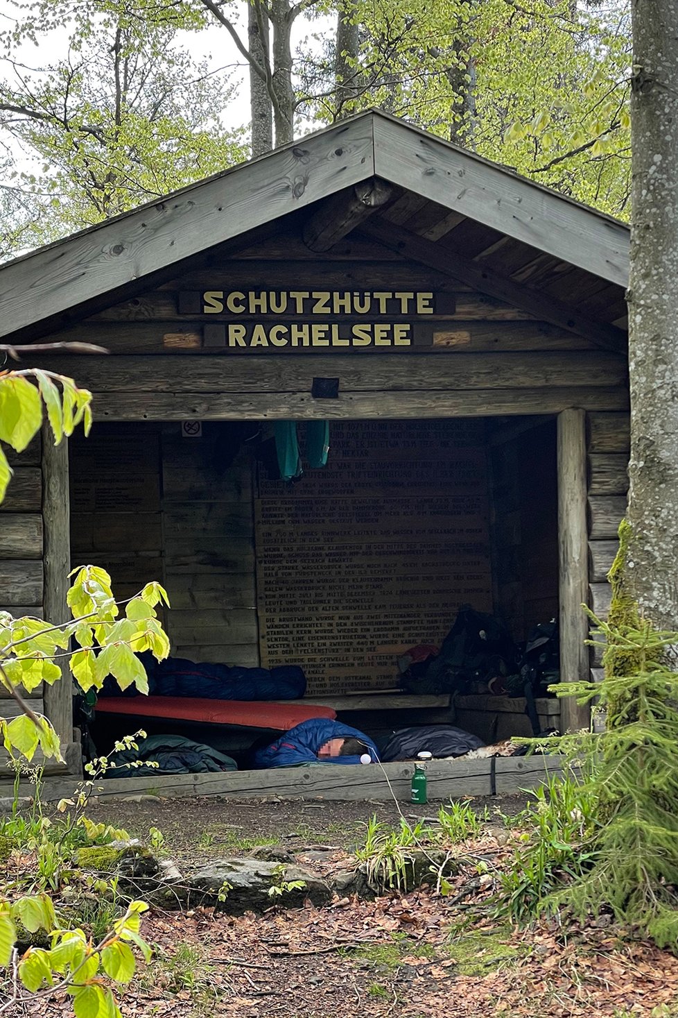 Neukáznění turisté nocují na německé straně Šumavy uprostřed klidového území NP Bavorský les.