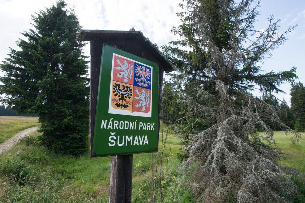 Národní park Šumava