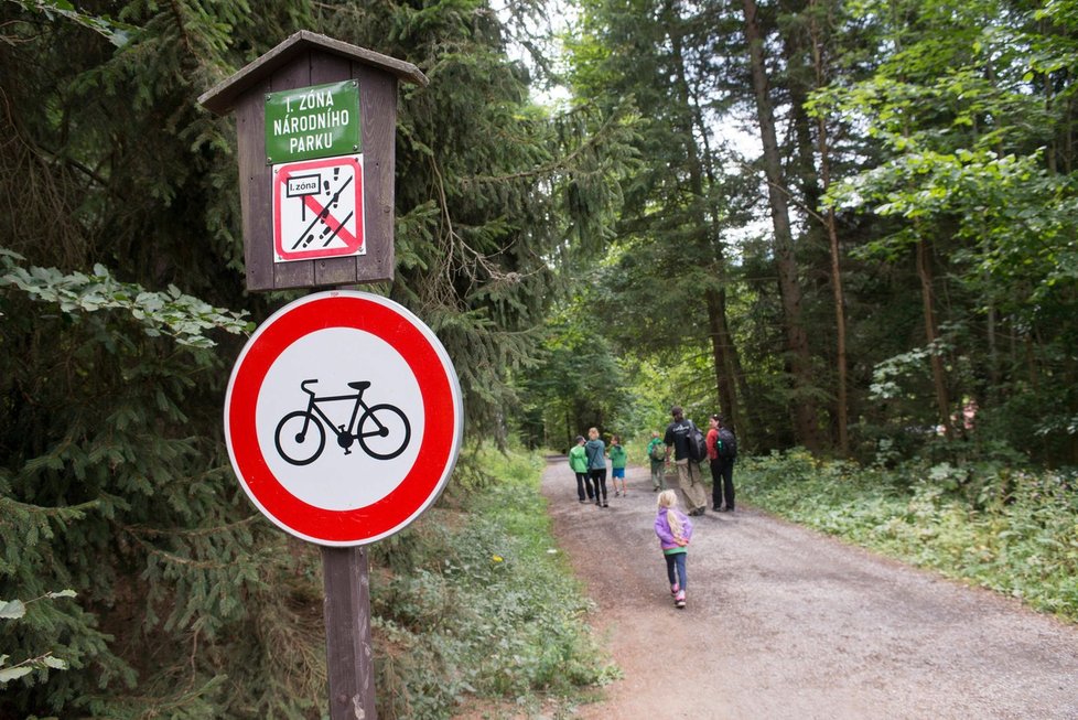 Národní park Šumava