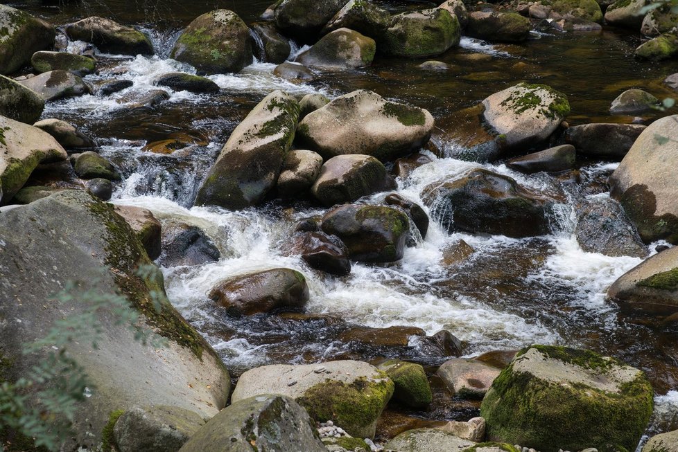 Národní park Šumava