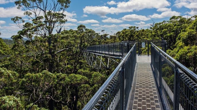 Můžete vystoupit také na visuté chodníky do korun stromů ve výšce čtyřiceti metrů a vydat se po Tree Top Walk. Můžete vystoupit také na visuté chodníky do korun stromů ve výšce čtyřiceti metrů a vydat se po Tree Top Walk.