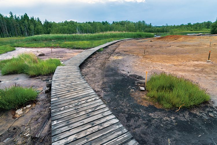 Kilometrová trasa vede nad výrony oxidu uhličitého po udržovaných dřevěných chodnících