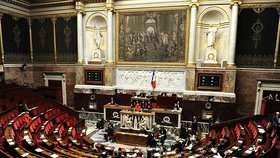 Národní shromáždění - dolní komora francouzského parlamentu