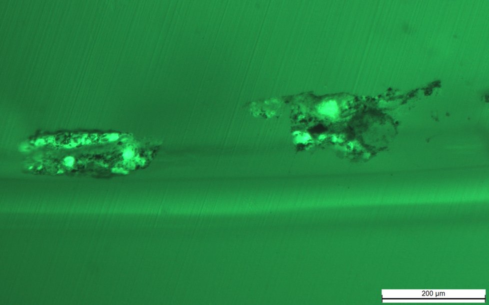 Mikroskopické snímky materiálů pod mikroskopem za použití bílého světla, UV světla a UV světla v zeleném spektru.