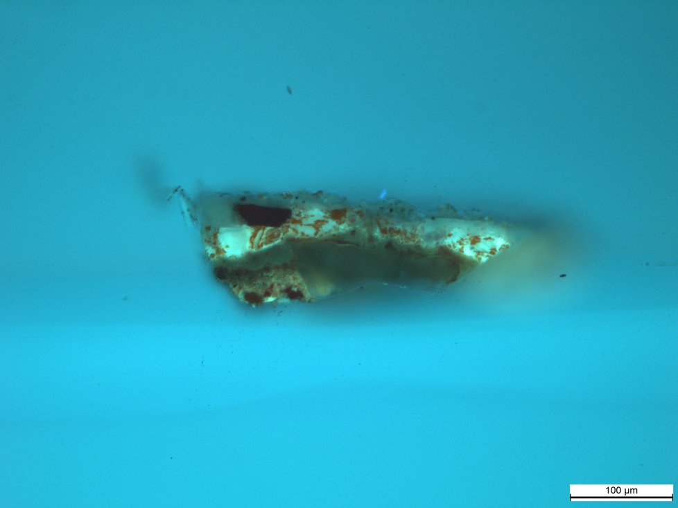 Mikroskopické snímky materiálů pod mikroskopem za použití bílého světla, UV světla a UV světla v zeleném spektru.