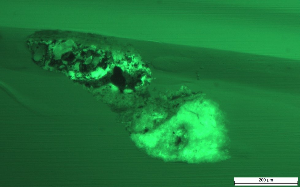 Mikroskopické snímky materiálů pod mikroskopem za použití bílého světla, UV světla a UV světla v zeleném spektru.