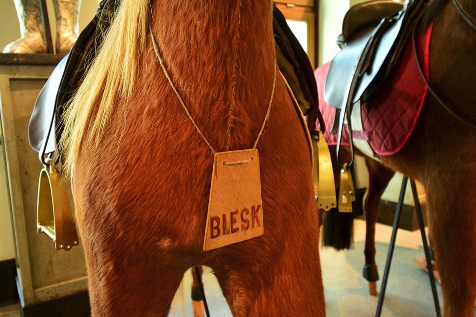 Koně z Letenského kolotoče vypadají jako nové. K vidění jsou v Národním technickém muzeu.