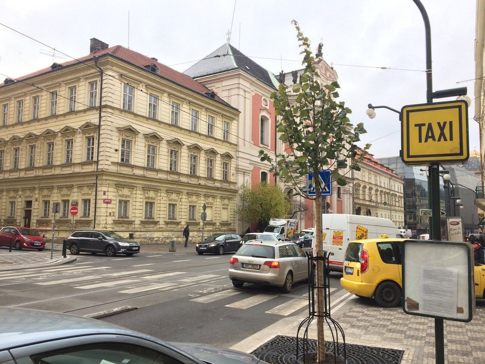 Aktuální proměna Národní třídy: jsou tu nové zálivy pro auta, širší chodníky a vysázené stromy.