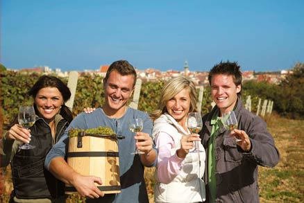 vinařská turistika