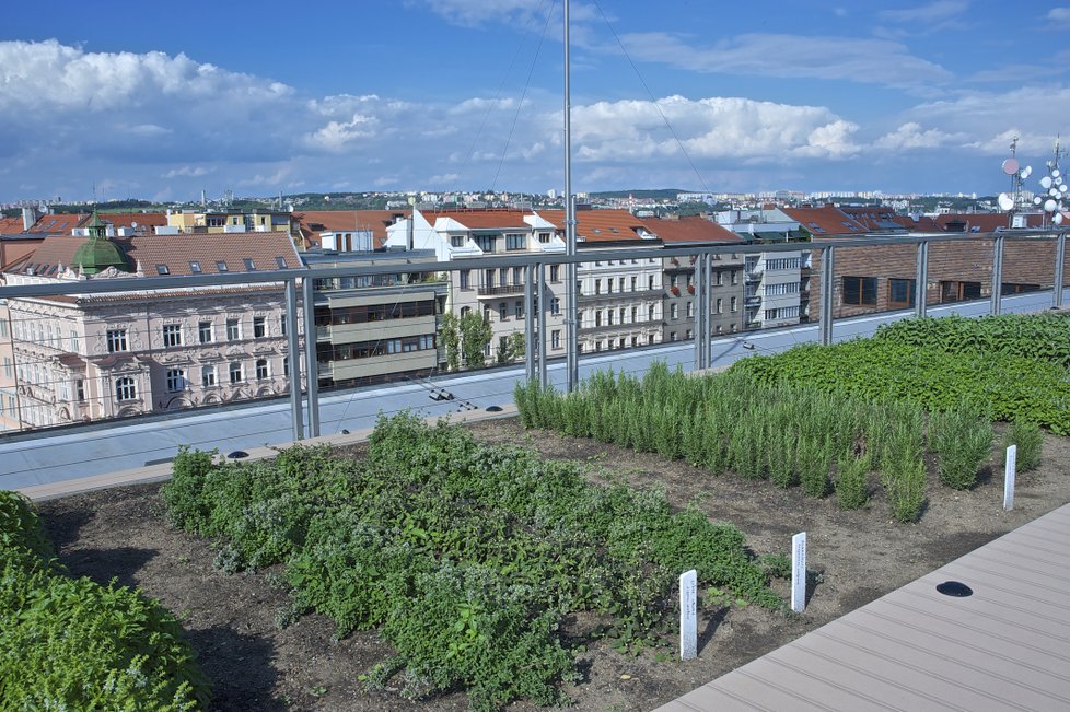 Levitující zahrada Národního zemědělského muzea nabízí úžasný výhled na pražské panorama.