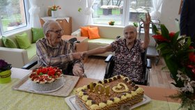 V Novém domově v Karviné si Lojzička (101) našla nového přítele Bohouška (95) a vyjíždí s ním ráda na výlety.