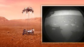 Robotický průzkumník americké vesmírné agentury NASA Perseverance úspěšně zvládl přistání na Marsu