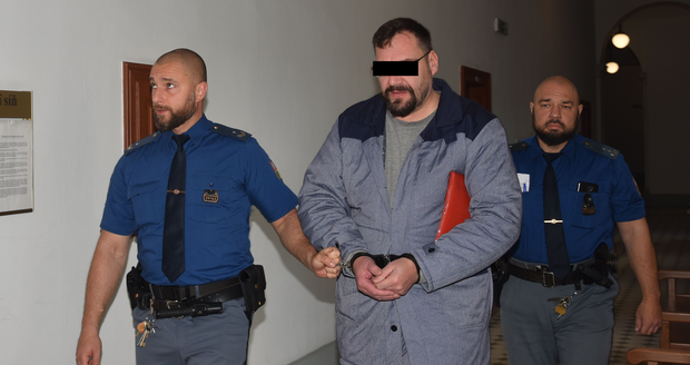 Obžalovaný Milan A. (49) je chlap jako hora, v minulosti si odpykal trest za vraždu přítelkyně. Nyní čelí obžalobě z týrání manželky.