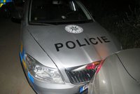 Auto jako zbraň: Šofér v „bavoráku“ úmyslně naboural policejní vůz, zranil muže zákona