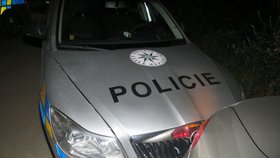 Řidič BMW ujížděl v Mikulově policejní hlídce, ve snaze uniknout do služebního vozu narazil a zranil jednoho z policistů. Hrozí mu až 6 let v base.