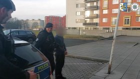 Policie dopadla násilníka (26), který v Ostravě přepadával a osahával ženy.