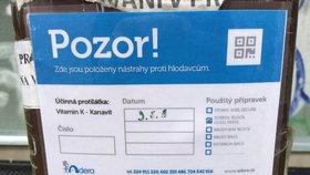 Nástrahy proti hlodavcům v Praze: Majitelé by své mazlíčky měli mít na pozoru