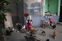 Natalia (68) zachraňuje charkovské kočky. Jejich majitelé je totiž zanechali napospas válce
