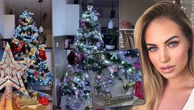 Miss Kočendová léčí ztrátu dítěte po svém: Už má hotovo na Vánoce! Co říkáte na stromek?