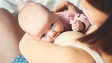 V Plzni se narodilo loni nejméně dětí: Na svět tu ale přišel Platon i Thálie