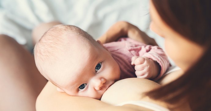 V Plzni se narodilo loni nejméně dětí: Na svět tu ale přišel Platon i Thálie