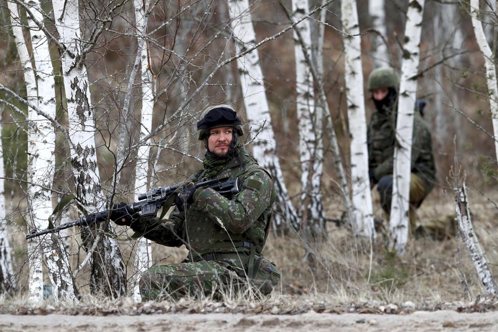 Cvičení a vojenské manévry NATO v Litvě