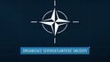 NATO - jak funguje a pomáhá?