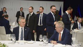 Zeman diskutuje s generálním tajemníkem NATO Jensem Stoltenbergem na schůzce B9 v Košicích.